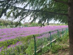 -嘉北郊野公园
