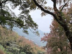 -广州市石门国家森林公园