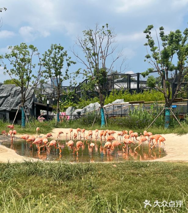 武汉动物园图片