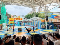 -海合安成都极地海洋公园