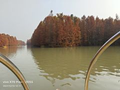 -上海海湾国家森林公园