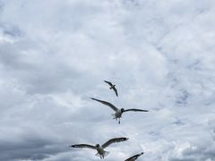 -花湖生态旅游区