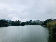 -凤池园