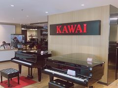 -柏斯琴行(汾阳店)