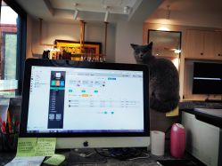 -JC·YOGA静禅瑜伽普拉提