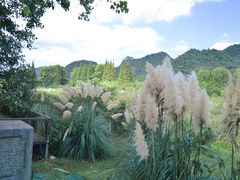 -贵阳市花溪国家城市湿地公园