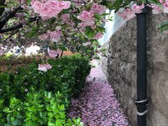 -山东外贸职业学院