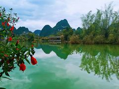 -靖西鹅泉风景区