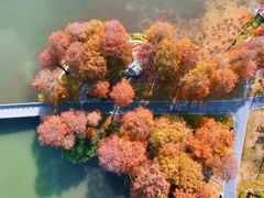 -四海公园(南山区)
