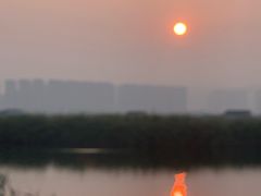 -崖口红树林海鲜餐厅