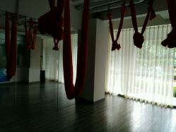 -榕树上·瑜伽普拉提