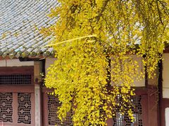 -金堂县云顶石城风景区