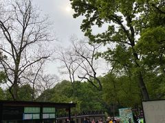 -WeLope紫金山探险公园