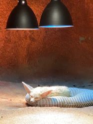 -酷嗒动物文化乐园(cutezoo西溪乐天城店)