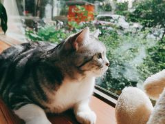 -咖法森林·咖啡  酒吧(天河店)