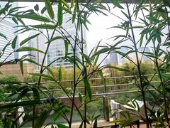 -上海环球金融中心-停车场