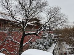 -故宫博物院(故宫)