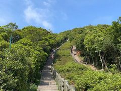 -梧桐山风景名胜区