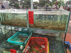 水产区-大笑饭堂(甲子桥店)
