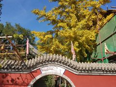 -丰台药王庙