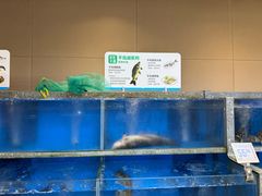 -盒马鲜生(杭州运河上街店)