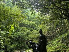 -莫干山风景区