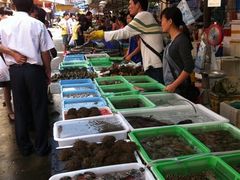 -澳门环岛游湾仔码头