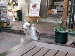 -豆舞咖啡(民乐路店)