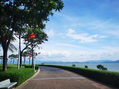 -深圳湾公园(南山区)