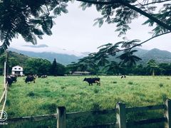 -瑞穗牧场