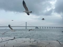 -星海广场