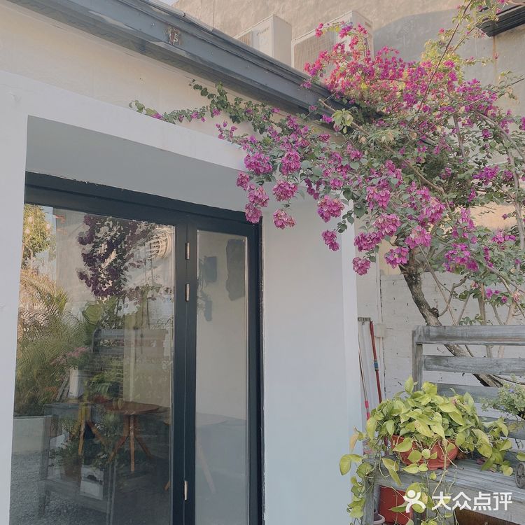 [吐]两间summer店都探过啦[吐][糖果]