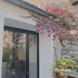 [吐]两间summer店都探过啦[吐][糖果]