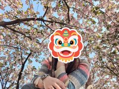 -幕燕滨江·长江观音景区