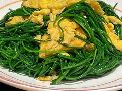 沙葱炒蛋-巴依老爷新疆美食(清华东门店)