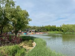 -大兴滨河森林公园