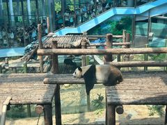 -大连森林动物园