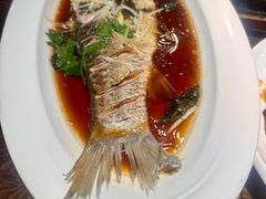 -七菜馆·东北菜·蒸饺(文体路店)
