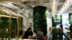 -悦诗风吟innisfree