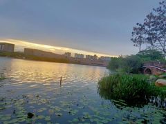 -松山湖南湖湾露营营地