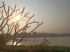 -立新湖公园