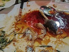 -东鸽皇(奥园·中环广场店)