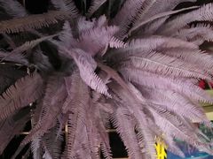 -好乐迪KTV(金钻店)