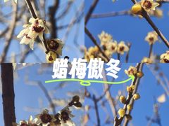 -丰台花园