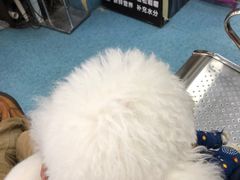 -北京赛佳动物医院