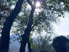 -句容茅山景区