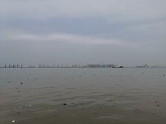-海鸥岛