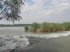 -绿堤公园