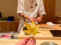 -鲤·鮨KOISUSHI