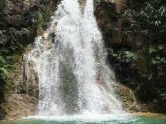 -南海湾森林生态园